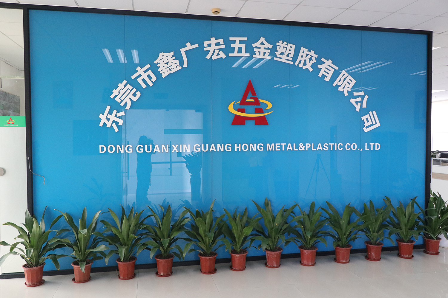 A Real View of Our
Company and Factory